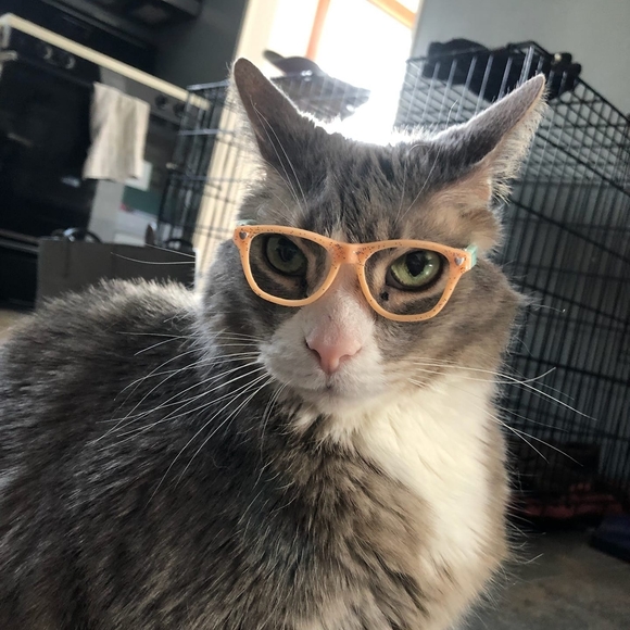 Meet your Posher, Marj - Picture 1 of 1